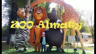 VLOG.Прогулка Зоопарк город Алматы ZOO in Almaty city. VLOG.Прогулка Зоопарк город Алматы ZOO in Almaty city.