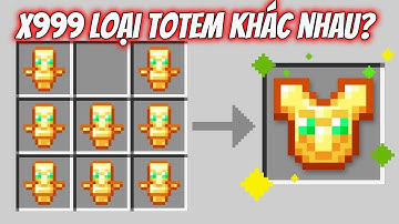 Minecraft, Nhưng Tôi Có X999 Loại TOTEM Khác Nhau | MeMaiRap
