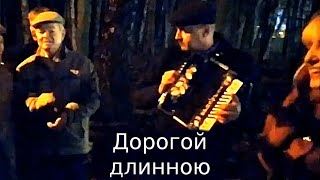 "Москва златоглавая" и "Дорогой длинною" под гармонь