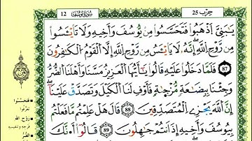 95-87: الصفحة 246 :سورة يوسف من الآية