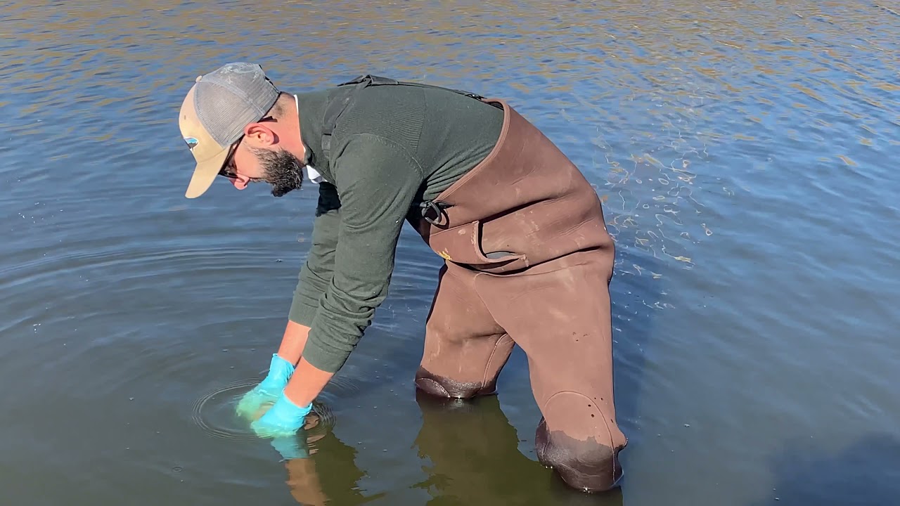 Environmental Sciences How To Collect Water Samples YouTube Environmental Sciences How To Collect Water Samples YouTube
