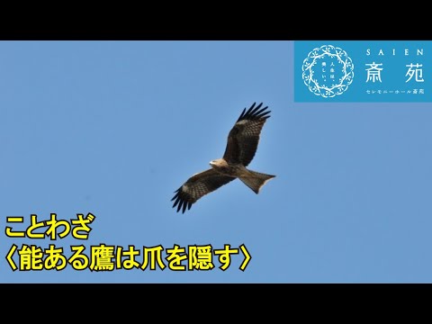 ことわざ 能ある鷹は爪を隠す 斎苑 サイエン ことわざ 故事 豆知識 冠婚葬祭 葬儀 仏事 石川県 小松市 加賀市 金沢市 Youtube