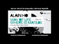 Alain Ho - Way Of Life (Original Mix) - Dieb Audio Digital 006