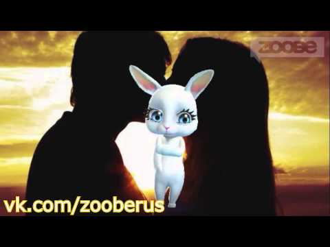 Zoobe зайка на