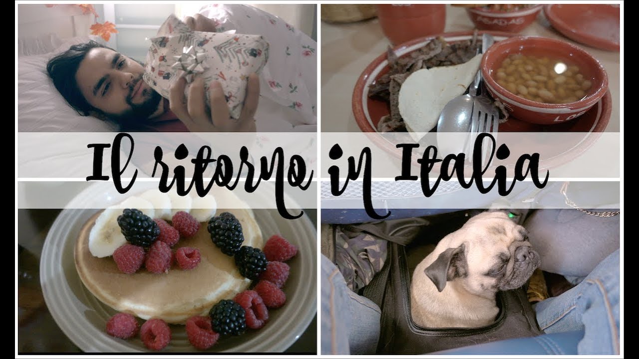 VLOG TORNANDO IN ITALIA! || Gemminamakeup