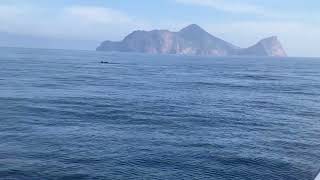 中山社大登龜山島及賞鯨之旅（上）分享許雅智的手機視頻