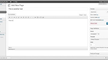 Sucuri - Plugin Installation and Configuration