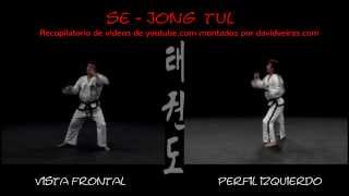 Se-Jong Tul ( 5º DAN )