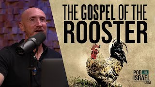 The Gospel Of The Rooster And The Blessing Of Getting Caught  Pod For Israel
