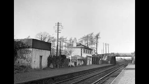 Carrickmines Past and Present video by Thomas Loft...