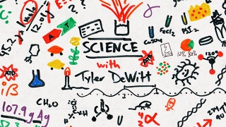 Tyler DeWitt Live Stream