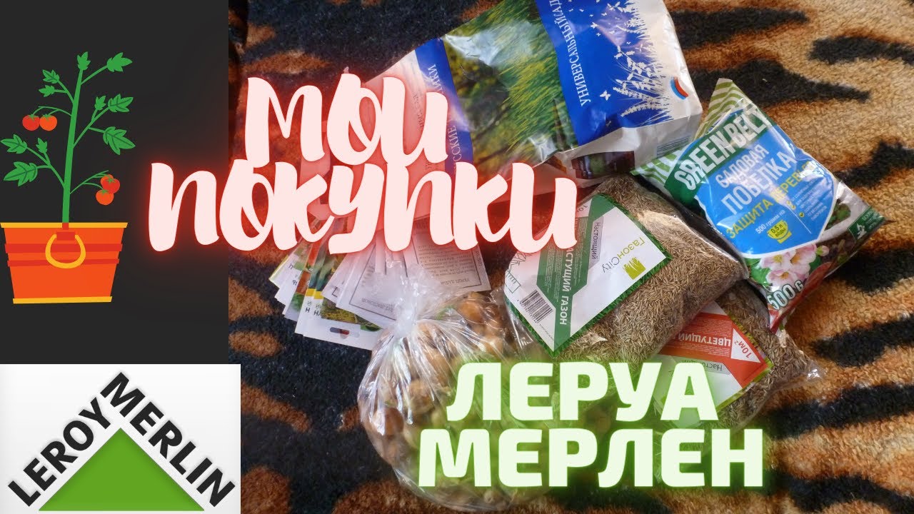 Первые семена интернет. Seedpost семена. Seedpost семена quality.