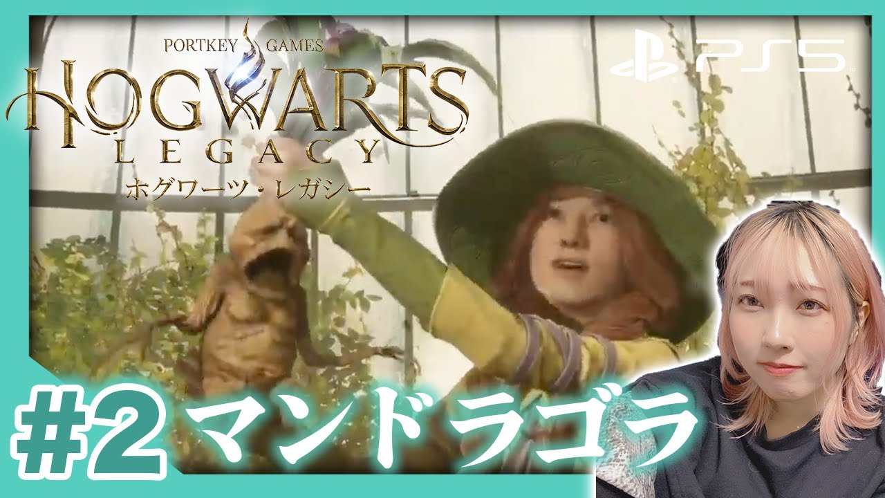 #2【ホグワーツレガシー】あのうるさいマンドレイクきちゃ〜〜！ハリーポッターの新作ゲー！スリザリンで暴れます【HogwartsLegacy 】