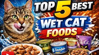✅Top 5 Best Wet Cat Foods 2026