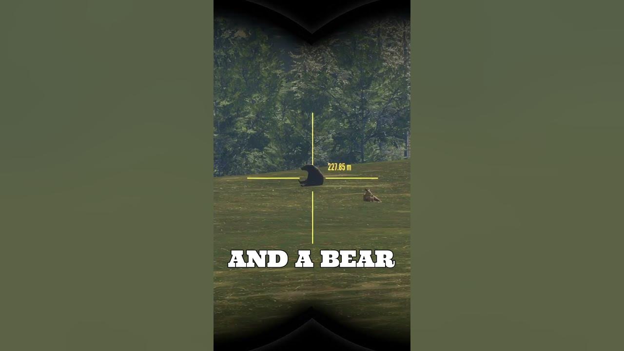 The Most Realistic Hunting Game shorts hunting callofthewild YouTube the-most-realistic-hunting-game-shorts-hunting-callofthewild-youtube