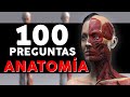 100 Preguntas y Respuestas de ANATOMÍA HUMANA 👉 ¿Cuánto sabes de tu Cuerpo?