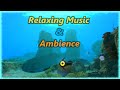 Subnautica - Relaxing Music & Ambience