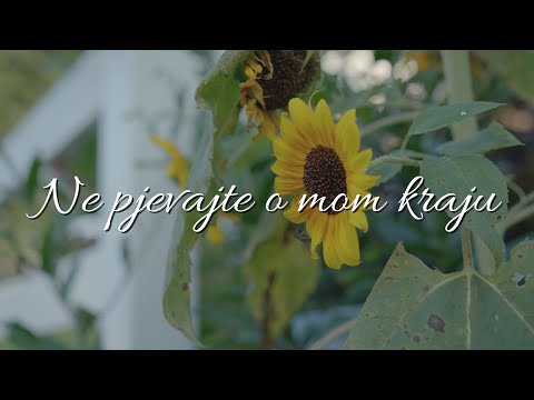 Assista a Mate Bulić - Ne pjevajte o mom kraju (Official lyric video) no YouTube