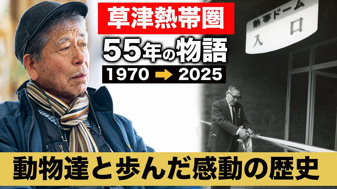 【密着55年】草津熱帯圏のすべて｜涙と笑顔の動物たちの記録（1970→2025）