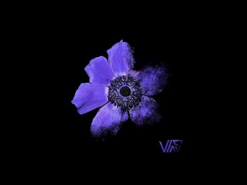 비아스(VIAS) - Anemone (Audio)