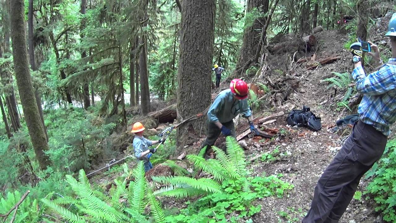Fall Creek Big Log Rigging Lesson - YouTube