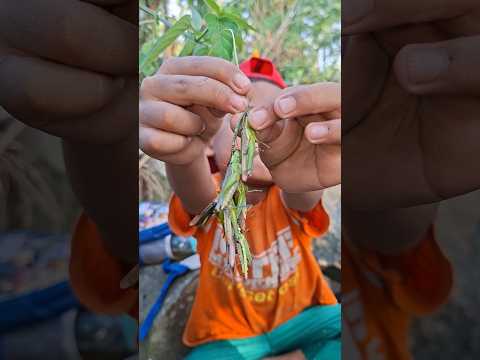 Belalang dimakan!? Berani coba?