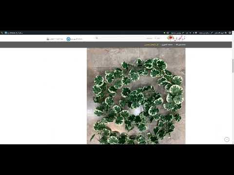 گیاهان زیبای رونده مصنوعی 17