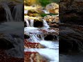 The World You Haven't Seen Yet 🌿✨|#cinematic #nature lover #edit #aesthetic Video#beautiful #status