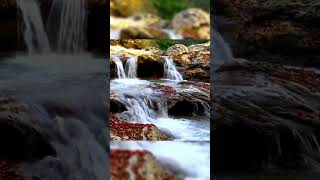 The World You Haven't Seen Yet 🌿✨|#cinematic #nature lover #edit #aesthetic Video#beautiful #status