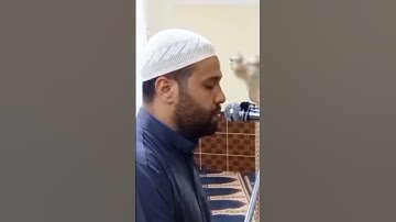 أموات غير أحياء تلاوة خاشعة || النحل || حالات واتس اب ||محسن خفاجي