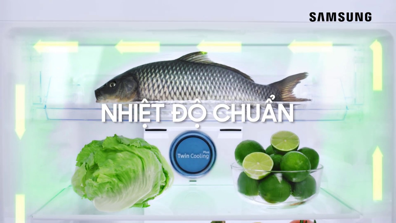 Tủ Lạnh Samsung - Công Nghệ Đột Phá Giữ Trọn Tươi Ngon - youtube