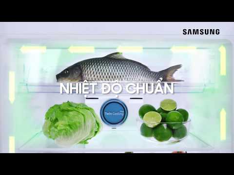 Video Tủ Lạnh Samsung - Công Nghệ Đột Phá Giữ Trọn Tươi Ngon - youtube