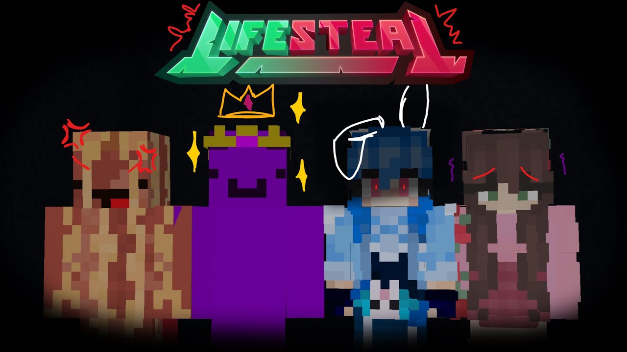 The Most Dysfunctional Lifesteal SMP 