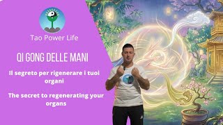 QI gong delle mani - Il segreto per rigenerare gli organi - Regenerate organs