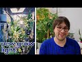 Grow Light for Indoor Plants and Grow Tent Tour | Will They Make a Difference?