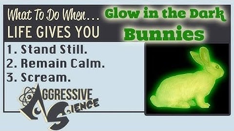Glow in the Dark Bunnies! - Aggressive Science