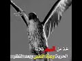 خذ الحكمه من صقر ولا تاخذها من انسان