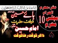 Majlis 10 muharram  shahadat imam hussain as karbala  zakir shaukat raza shaukat 2020
