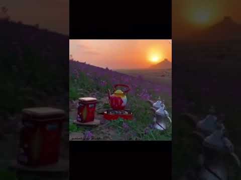 والله يالولا الوجار وصافي الدله الشاعر ايوب المنصور