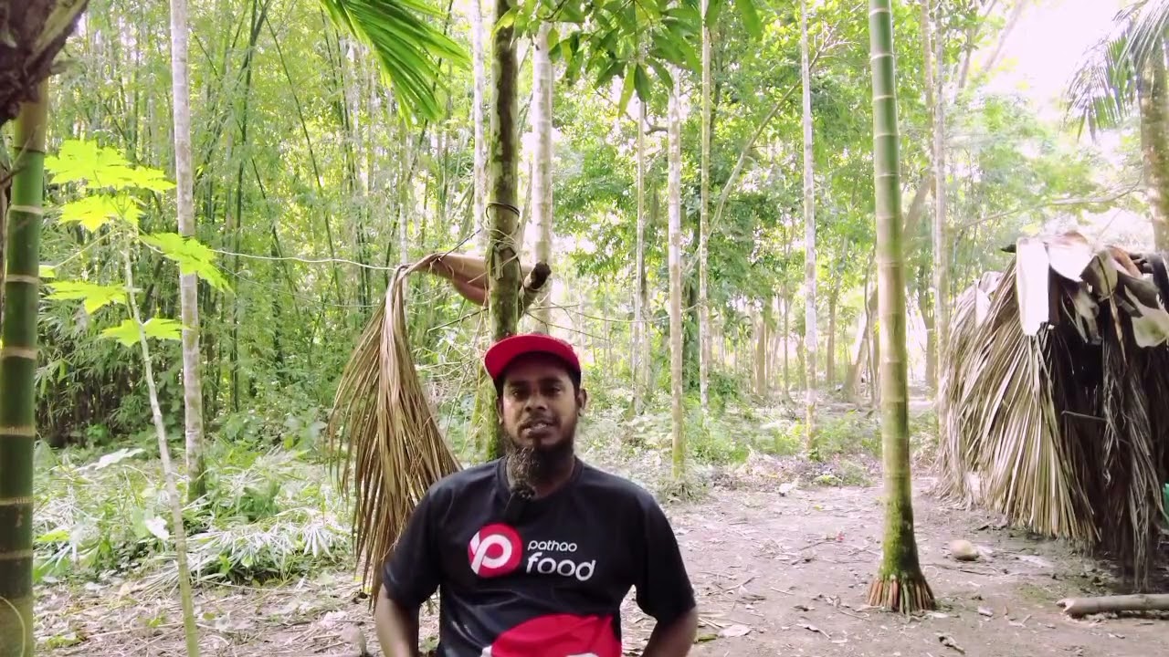 পাঠাও ফুডে কিভাবে জয়েন করবেন [] কিভাবে কাজ করবেন [] কিভাবে ডেলিভারি করবেন []  Pathao Bangladesh 