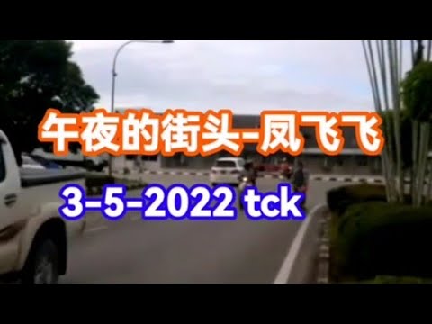 午夜的街头-凤飞飞