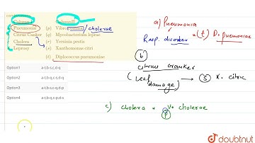 Match items of column I with thoses of column II and choose the correct combinations {:(,Column ...