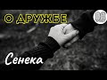 В 22: 00 О ДРУЖБЕ. Максим Каскун