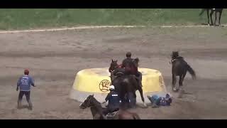 Buzkashi - A Humorous Narration/Summary