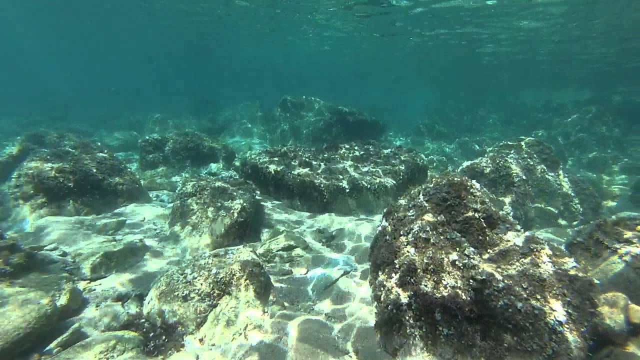 Snorkeling Spain Calella de Palafrugell GoPro 3 YouTube