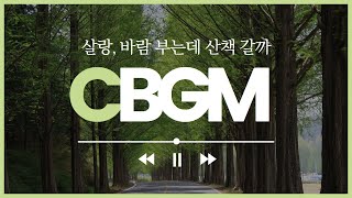 [Catholic BGM] 산책하듯 기분 좋아지는 가톨릭 성가 피아노 연주