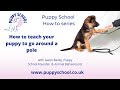 Puppy School How To series - How to teach your puppy to go round a pole