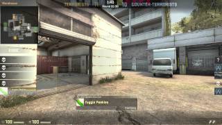 Dude kills himself and use bots to wallhack/aimbot CS:GO