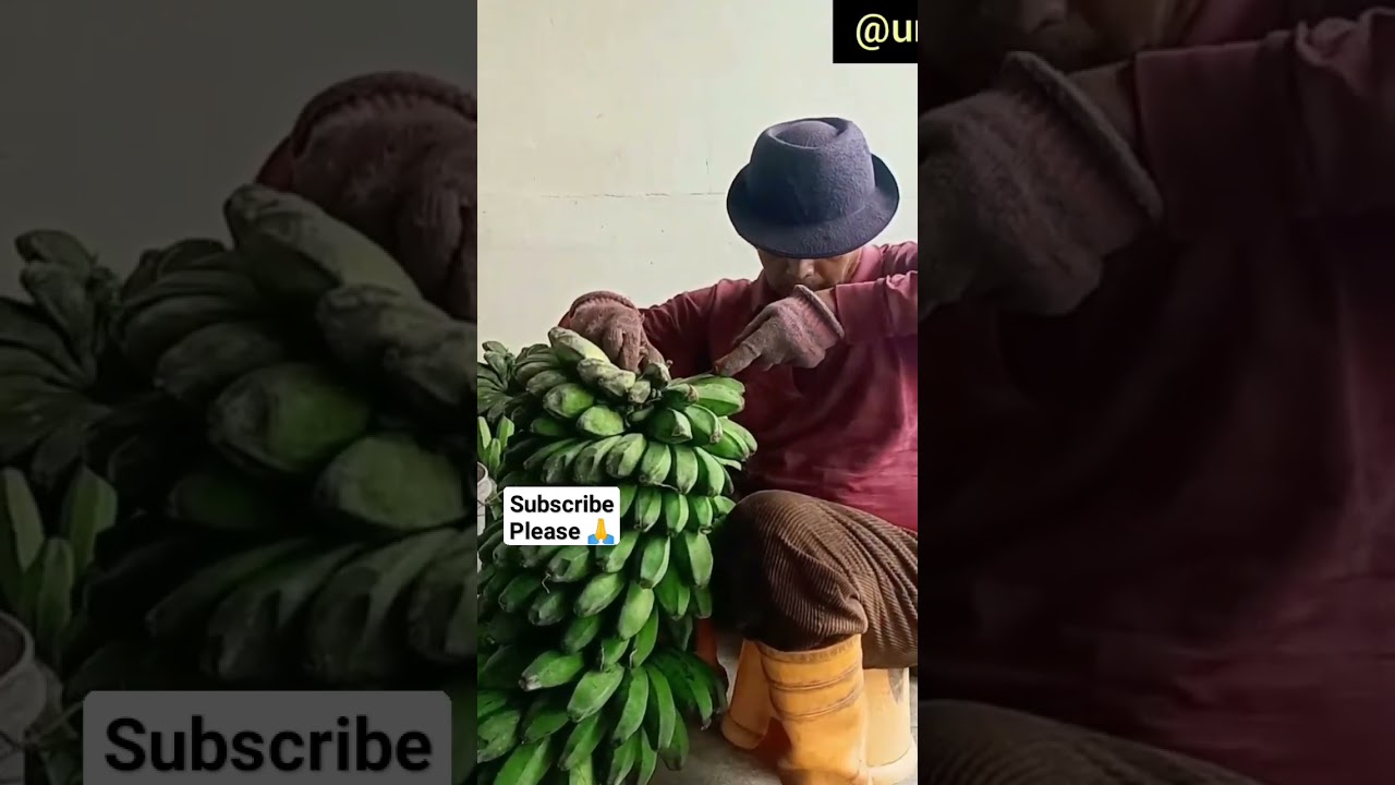 Farmer From Borneo 76