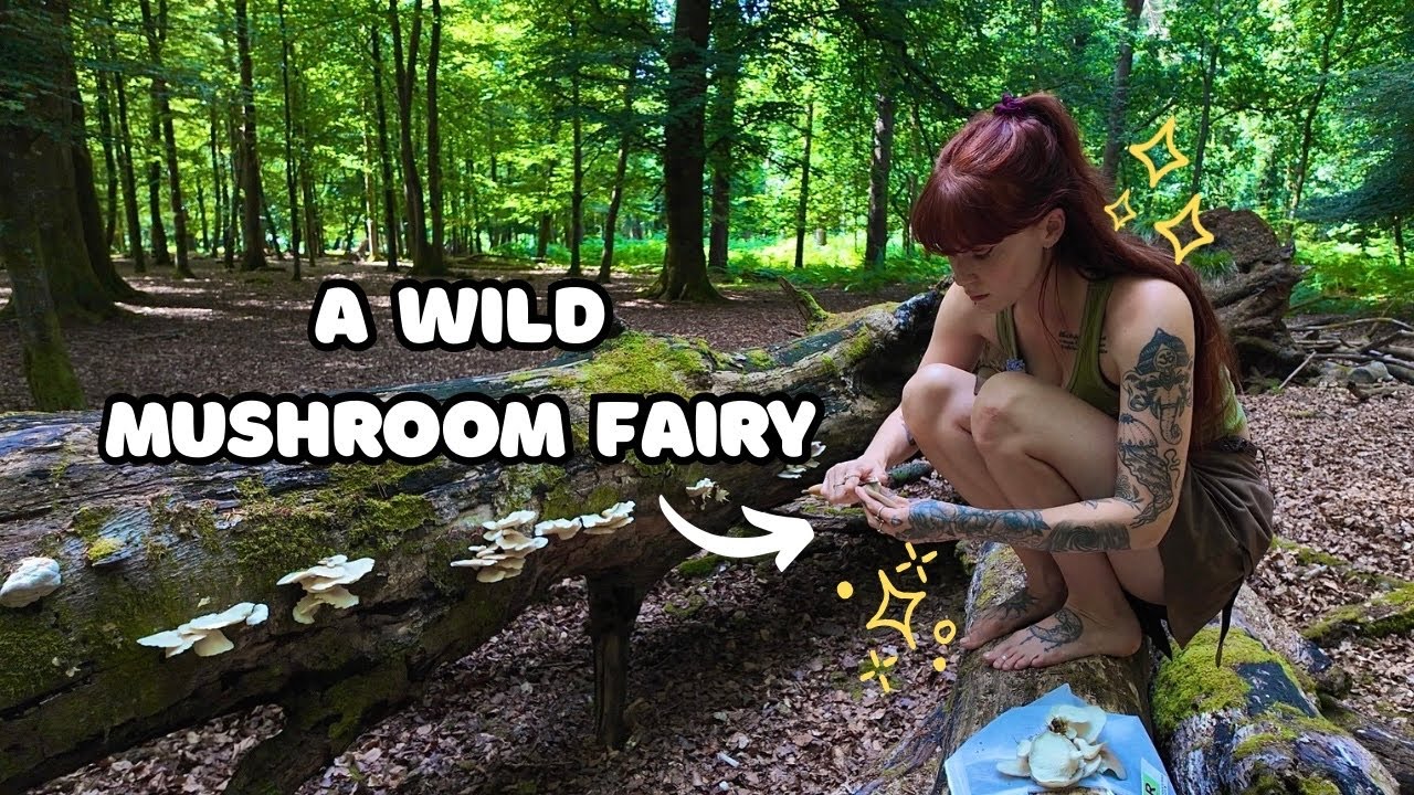Oyster Mushrooms galore!! Come foraging with me • June forest vlog